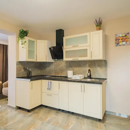 Bt Arena Apartment *