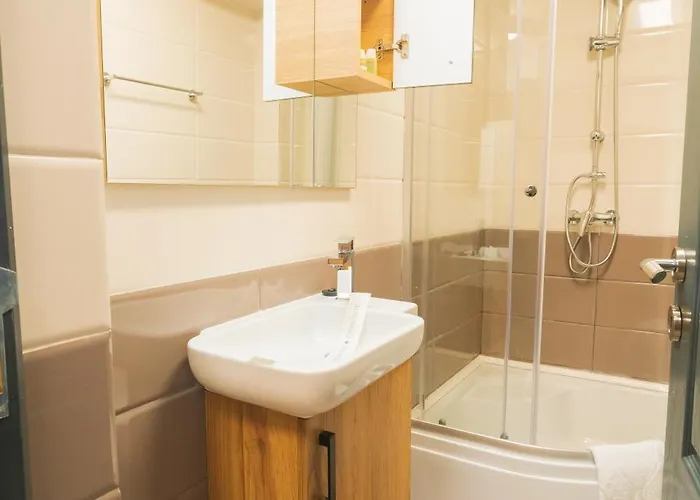 Bt Arena Cluj-Napoca